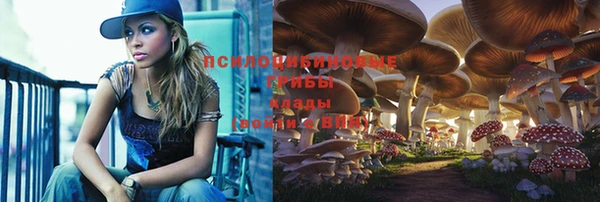 кокс Баксан